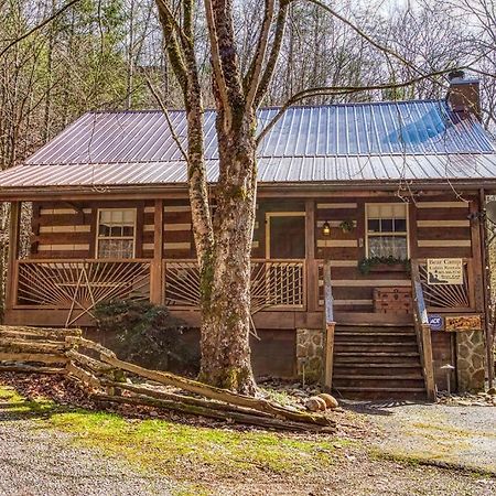 Bear End Villa Sevierville Dış mekan fotoğraf